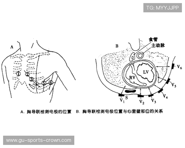 奥利塞速度是否构成其技术短板