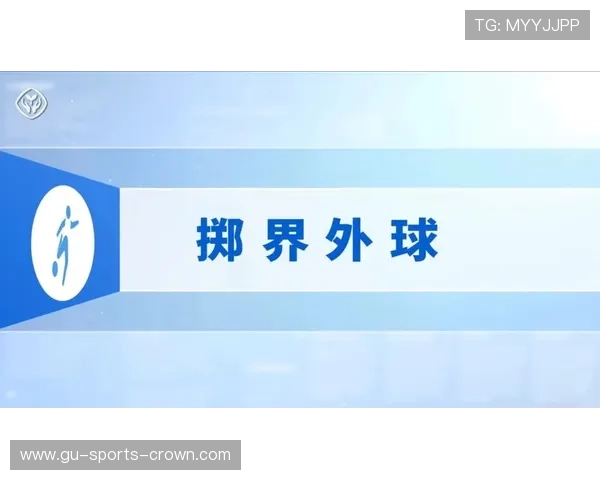 掷界外球的执行规则与违规判罚标准详解
